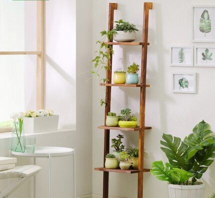 Buy Ladder Bookcase – Display Unit – Planter Online | TeakLab