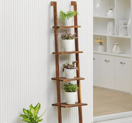 Buy Ladder Bookcase – Display Unit – Planter Online | TeakLab 1